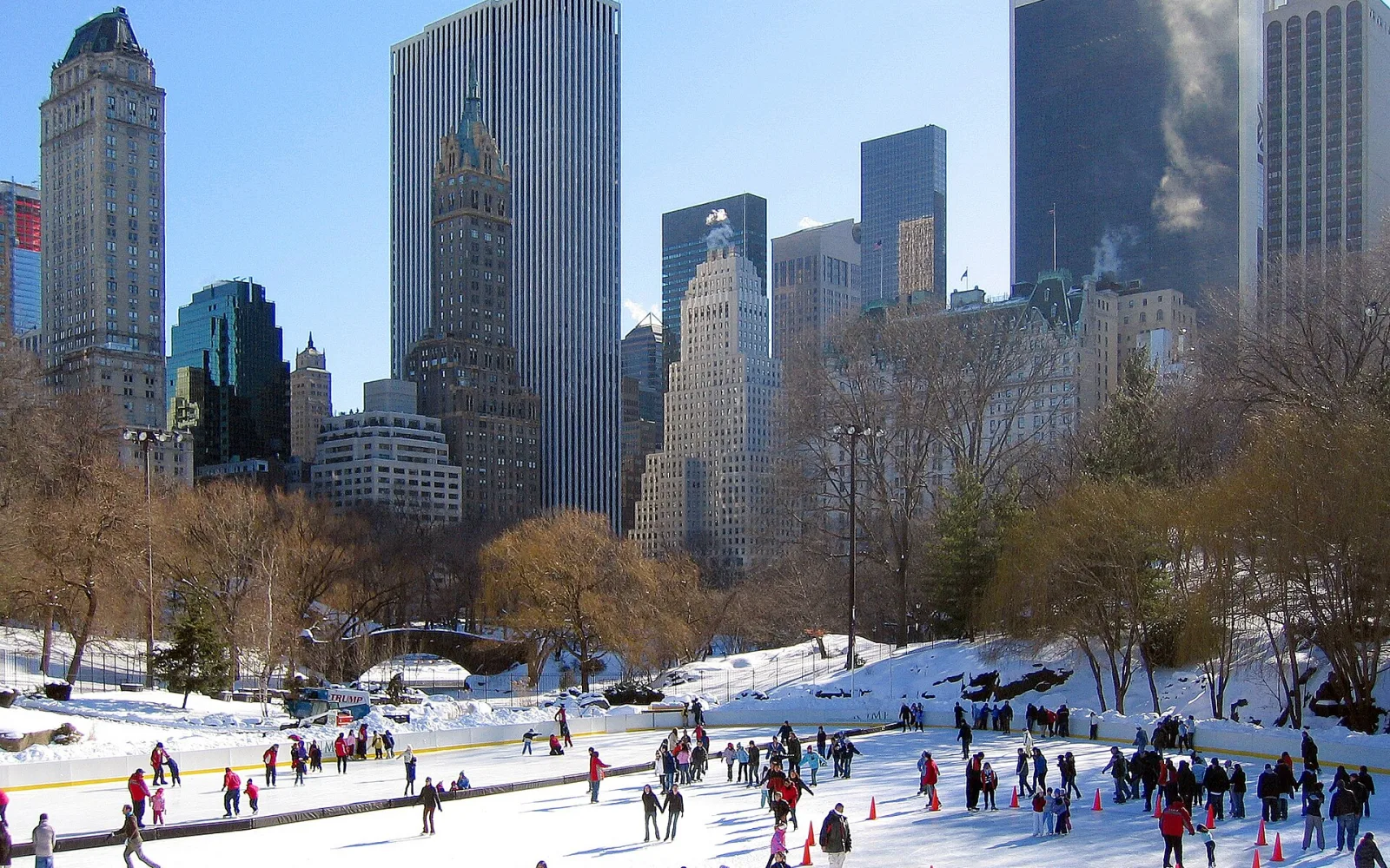 Rides in Central Park: Carriage Tours vs Other Park Rides
