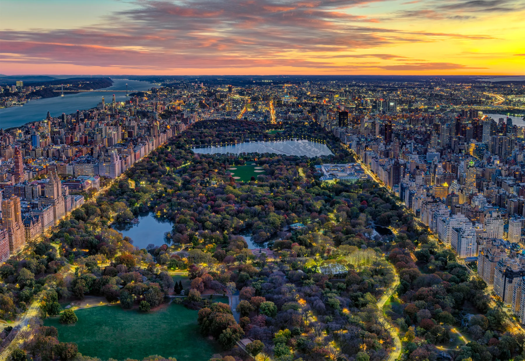Private Horse Carriage Ride vs Walking Tour in Central Park